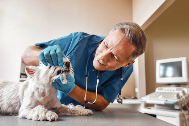 Best Walk-In Emergency Dentist in Chelsea, OK